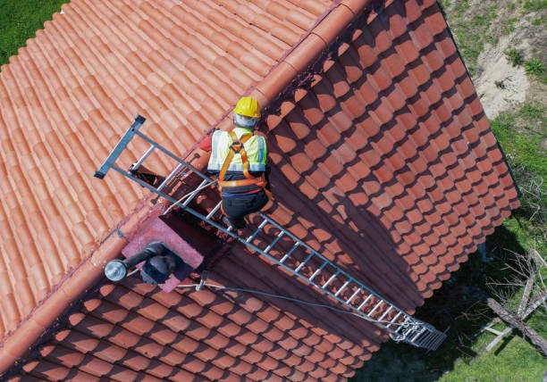Best Asphalt Shingles Roofing  in Twin City, GA